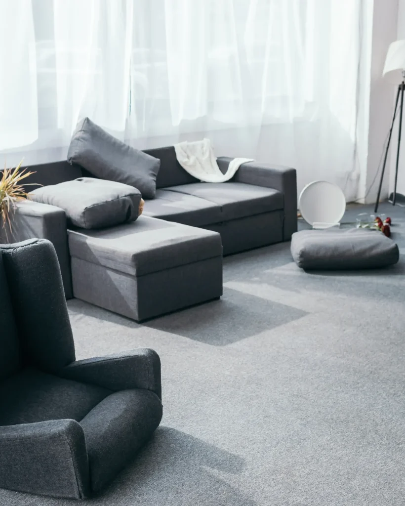 grey-sofa-plant-pillows-and-armchair-in-robbed-a-2026-03-13-00-54-22-utc
